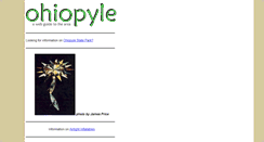 Desktop Screenshot of ohiopyle.com